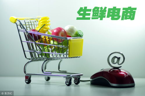 開(kāi)網(wǎng)店如何辦理食品經(jīng)營(yíng)許可證 流程、要求與注意事項(xiàng)詳解